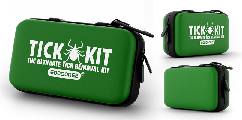 3D Rendering Service